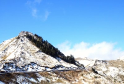 合歡山國家森林遊樂區